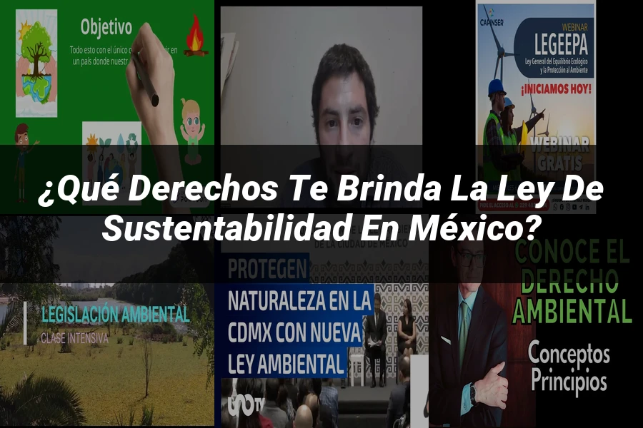 "¿Qué Derechos Te Brinda la Ley de Sustentabilidad en México?"