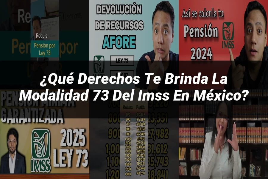 "¿Qué Derechos Te Brinda la Modalidad 73 del IMSS en México?"