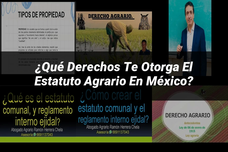 "¿Qué Derechos Te Otorga el Estatuto Agrario en México?"