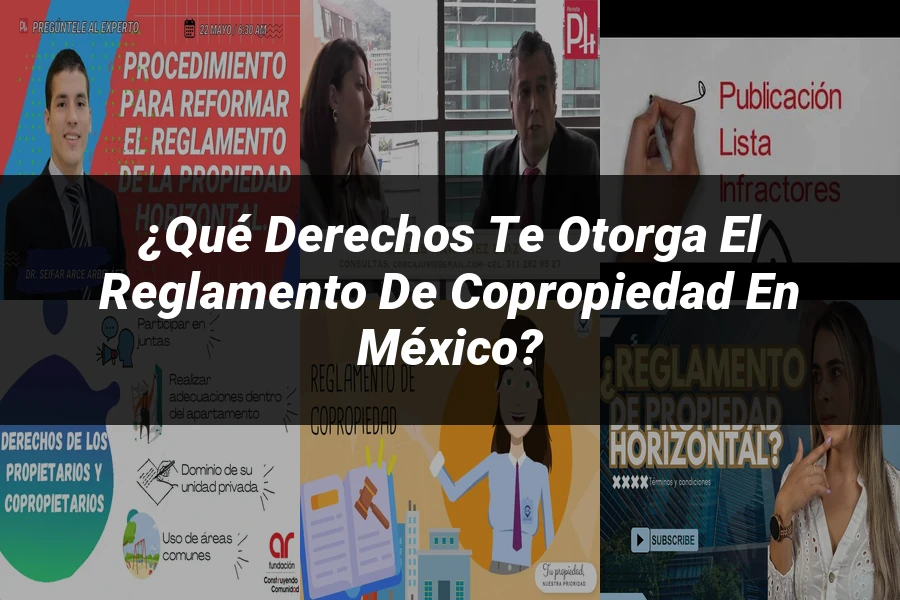 "¿Qué Derechos Te Otorga el Reglamento de Copropiedad en México?"