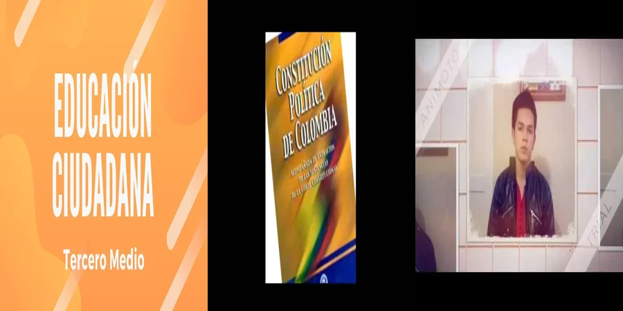 "¿Qué Derechos Te Otorga la Constitución Ciudadana en México?"