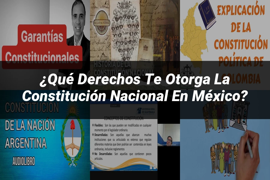 "¿Qué Derechos Te Otorga la Constitución Nacional en México?"