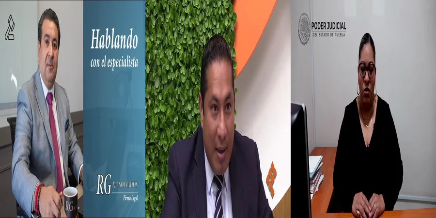 "¿Qué Derechos Te Otorga la Defensoria de Oficio Familiar en México?"