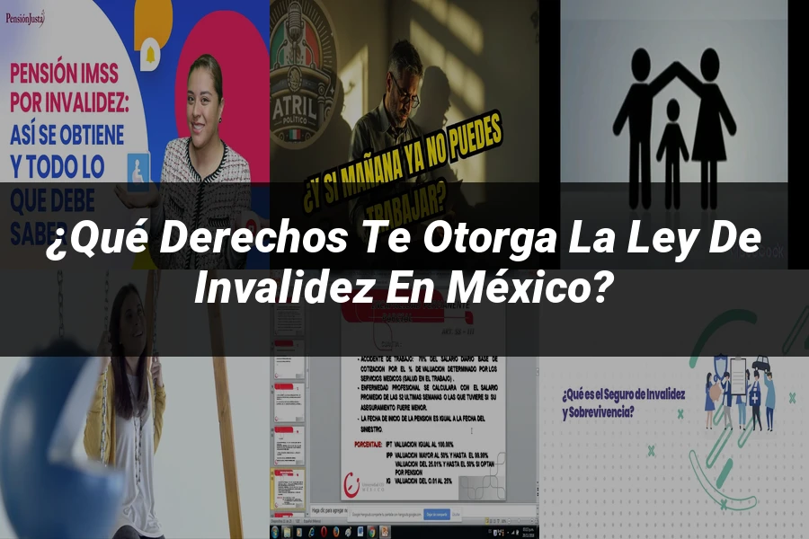 "¿Qué Derechos Te Otorga la Ley de Invalidez en México?"