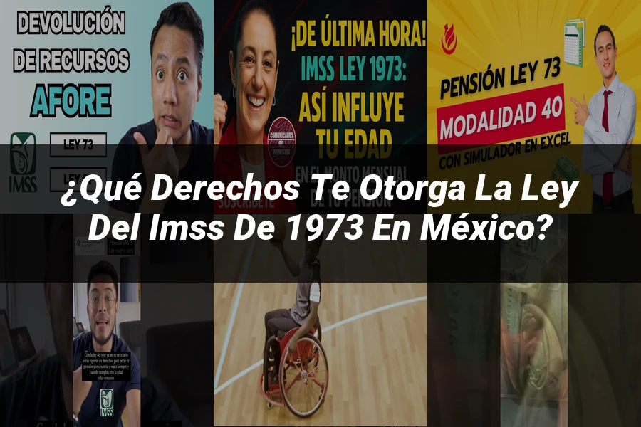 "¿Qué Derechos Te Otorga la Ley del IMSS de 1973 en México?"