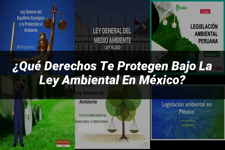 "¿Qué Derechos Te Protegen Bajo la Ley Ambiental en México?"