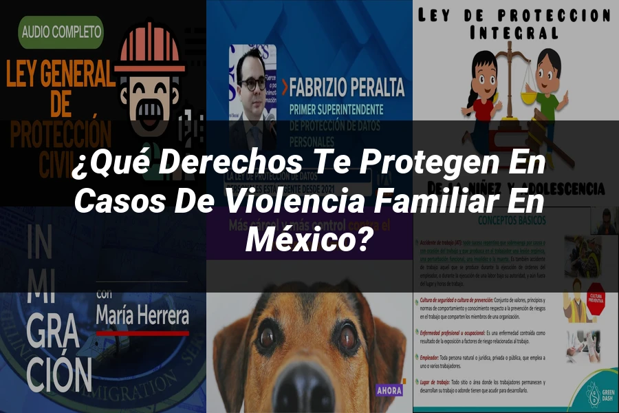 "¿Qué Derechos Te Protegen en Casos de Violencia Familiar en México?"