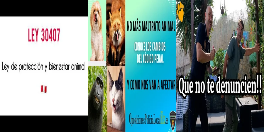 "¿Qué Derechos Tienen los Animales según la Ley en México?"