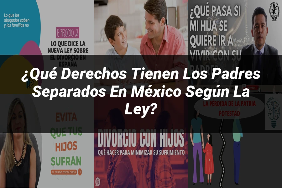 "¿Qué Derechos Tienen los Padres Separados en México según la Ley?"