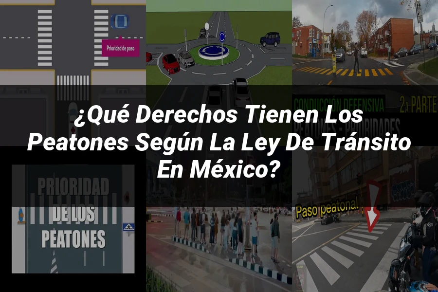 "¿Qué Derechos Tienen los Peatones Según la Ley de Tránsito en México?"