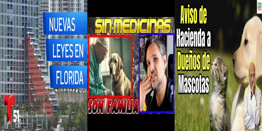 "¿Qué Derechos Tienen tus Mascotas Según la Nueva Ley en México?"