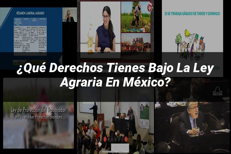"¿Qué Derechos Tienes Bajo la Ley Agraria en México?"