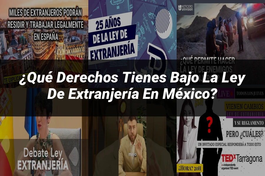 "¿Qué Derechos Tienes Bajo la Ley de Extranjería en México?"