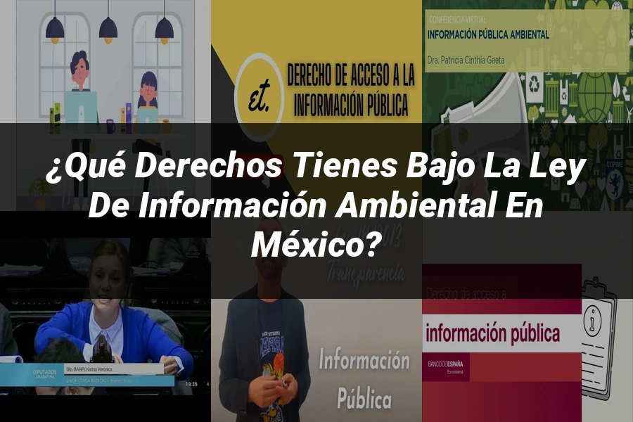 "¿Qué Derechos Tienes Bajo la Ley de Información Ambiental en México?"