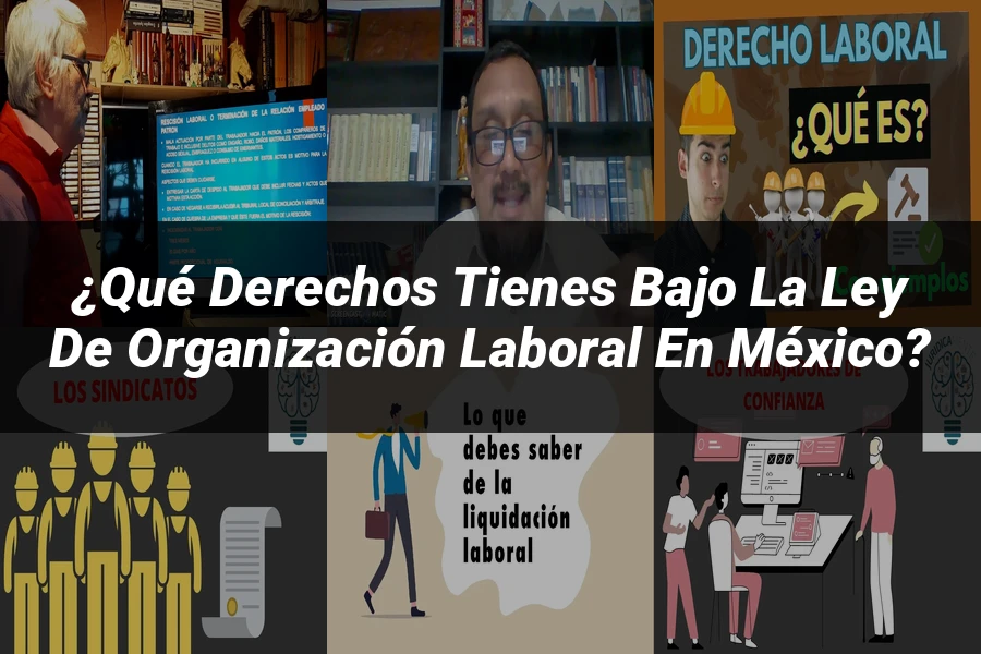"¿Qué Derechos Tienes Bajo la Ley de Organización Laboral en México?"