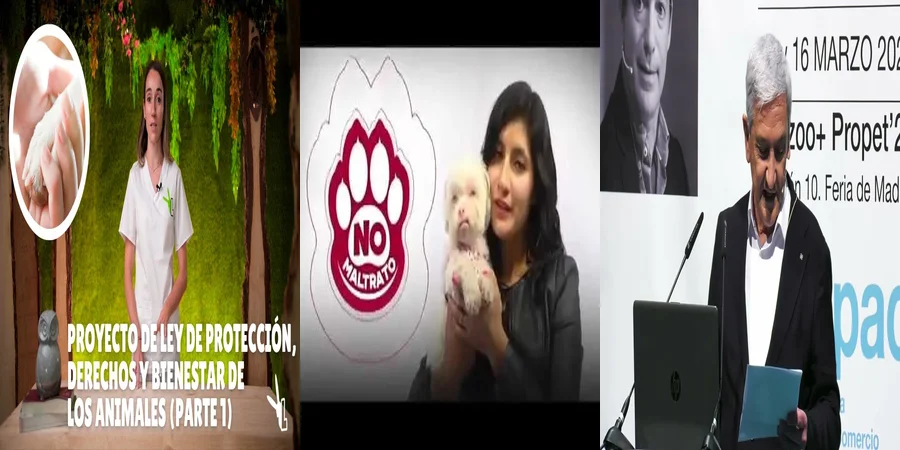"¿Qué Derechos Tienes Bajo la Ley de Protección Animal en México?"