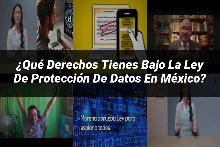 "¿Qué Derechos Tienes Bajo la Ley de Protección de Datos en México?"