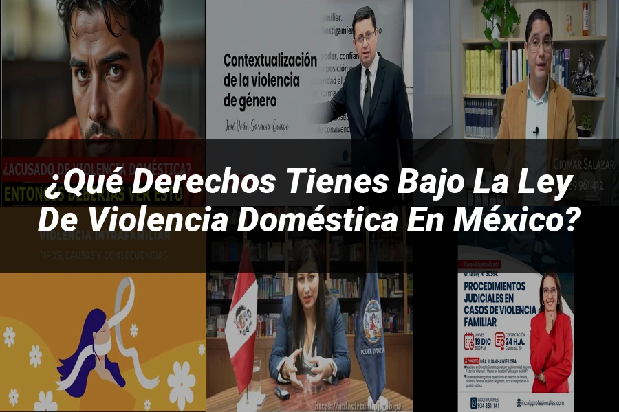 "¿Qué Derechos Tienes Bajo la Ley de Violencia Doméstica en México?"