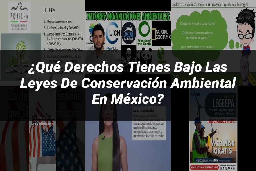"¿Qué Derechos Tienes Bajo las Leyes de Conservación Ambiental en México?"
