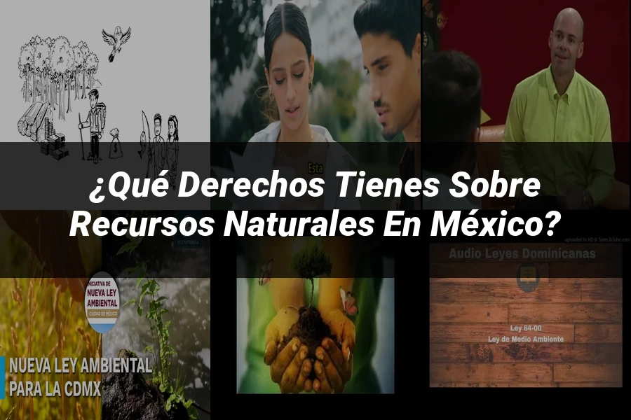 "¿Qué Derechos Tienes Sobre Recursos Naturales en México?"