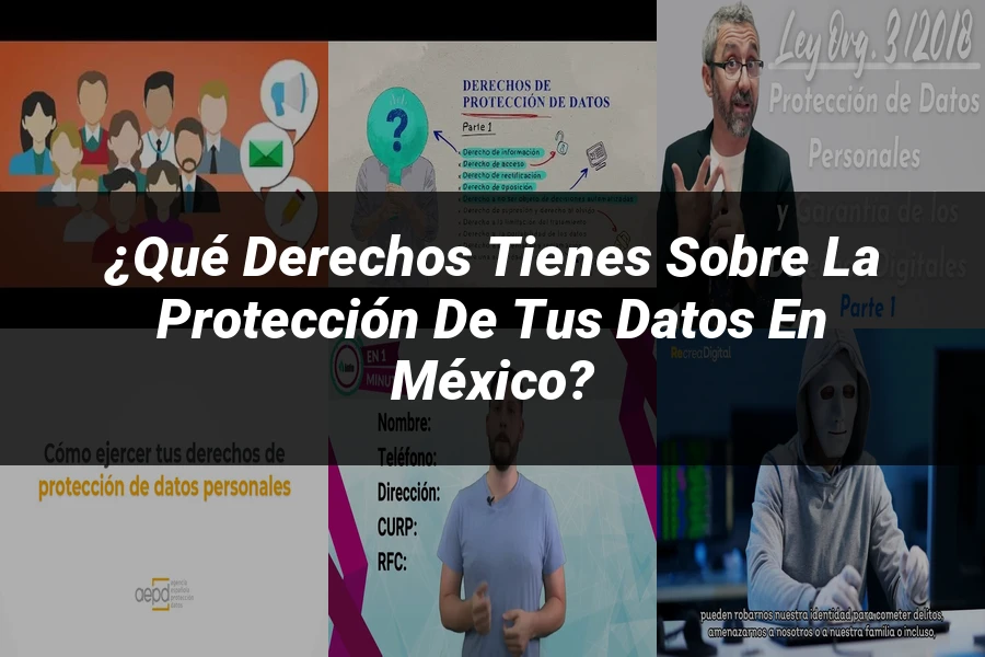 "¿Qué Derechos Tienes Sobre la Protección de tus Datos en México?"