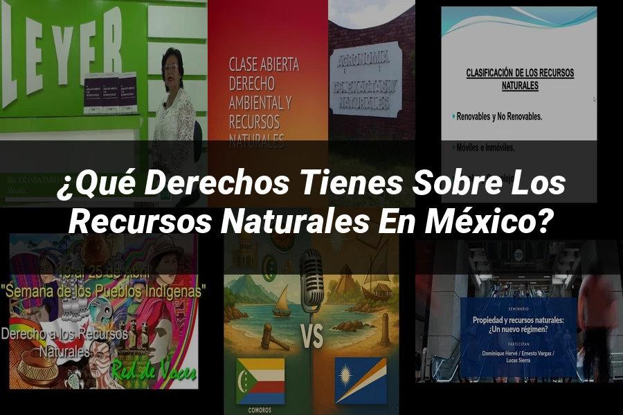 "¿Qué Derechos Tienes Sobre los Recursos Naturales en México?"