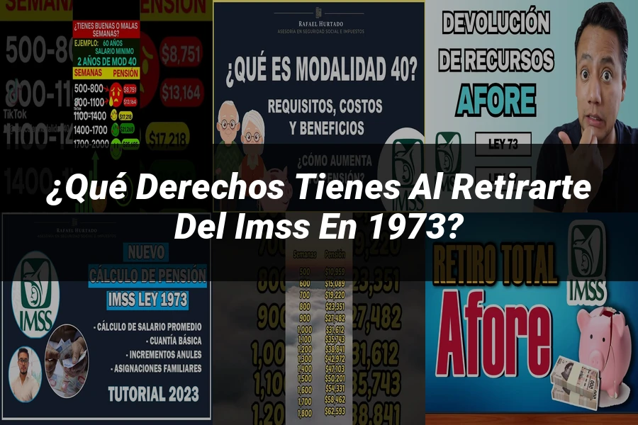"¿Qué Derechos Tienes al Retirarte del IMSS en 1973?"