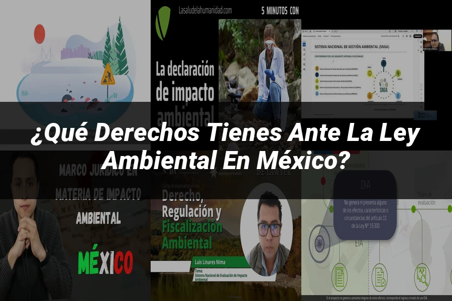 "¿Qué Derechos Tienes ante la Ley Ambiental en México?"