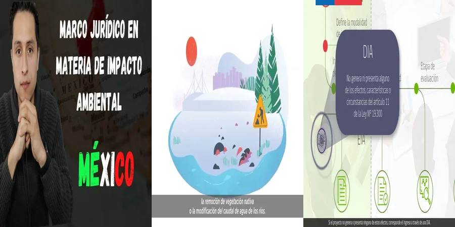 "¿Qué Derechos Tienes ante la Ley Ambiental en México?"