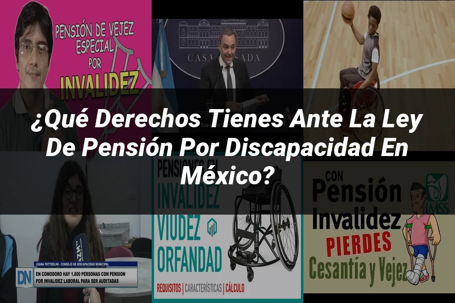"¿Qué Derechos Tienes ante la Ley de Pensión por Discapacidad en México?"