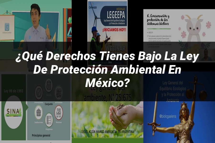 "¿Qué Derechos Tienes bajo la Ley de Protección Ambiental en México?"