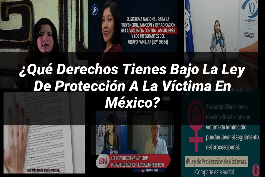 "¿Qué Derechos Tienes bajo la Ley de Protección a la Víctima en México?"