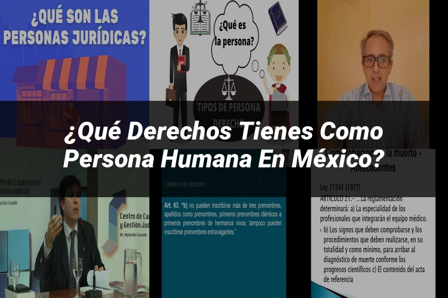 "¿Qué Derechos Tienes como Persona Humana en México?"
