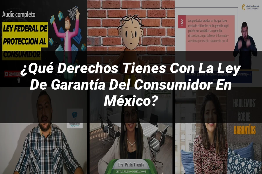 "¿Qué Derechos Tienes con la Ley de Garantía del Consumidor en México?"