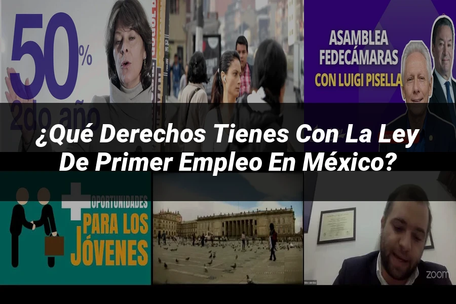 "¿Qué Derechos Tienes con la Ley de Primer Empleo en México?"