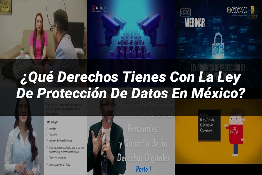 "¿Qué Derechos Tienes con la Ley de Protección de Datos en México?"