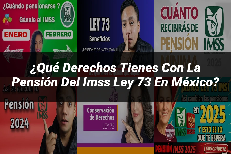 "¿Qué Derechos Tienes con la Pensión del IMSS Ley 73 en México?"