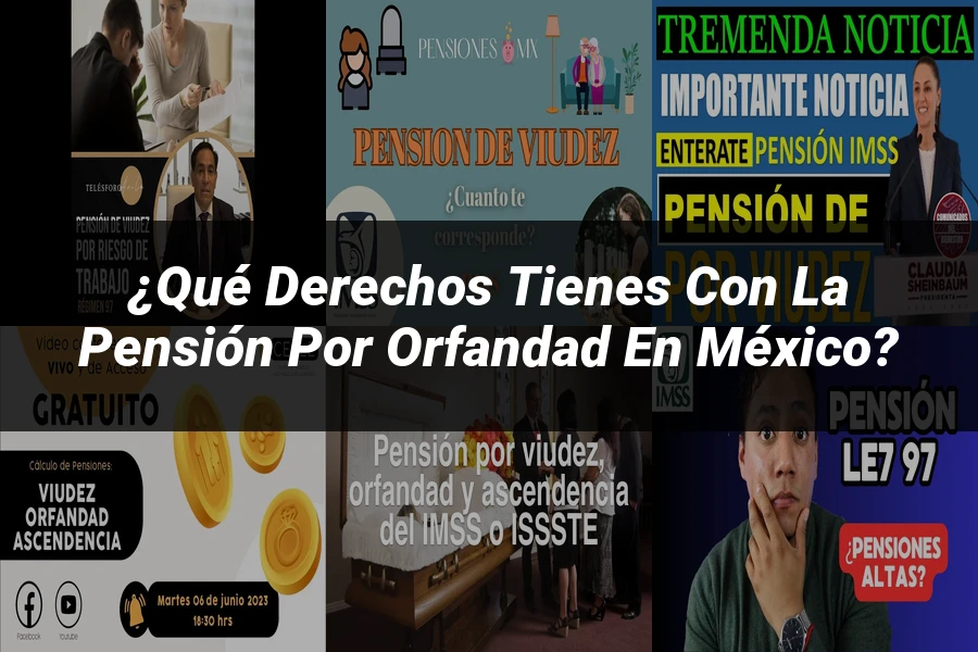 "¿Qué Derechos Tienes con la Pensión por Orfandad en México?"