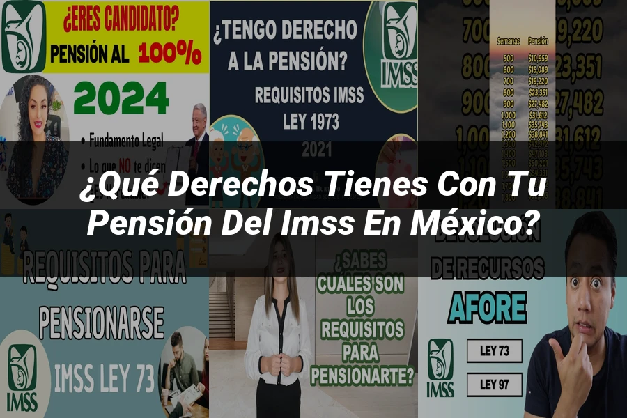 "¿Qué Derechos Tienes con tu Pensión del IMSS en México?"