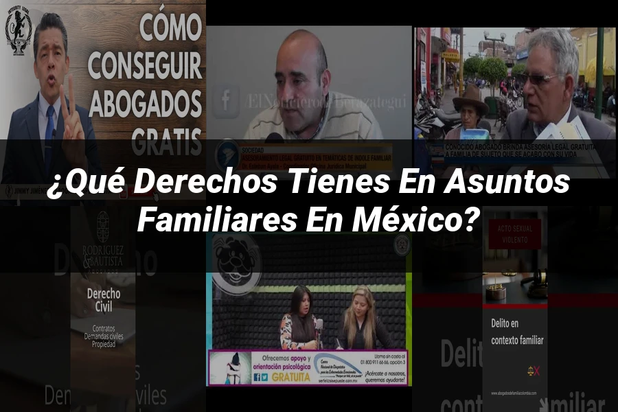 "¿Qué Derechos Tienes en Asuntos Familiares en México?"