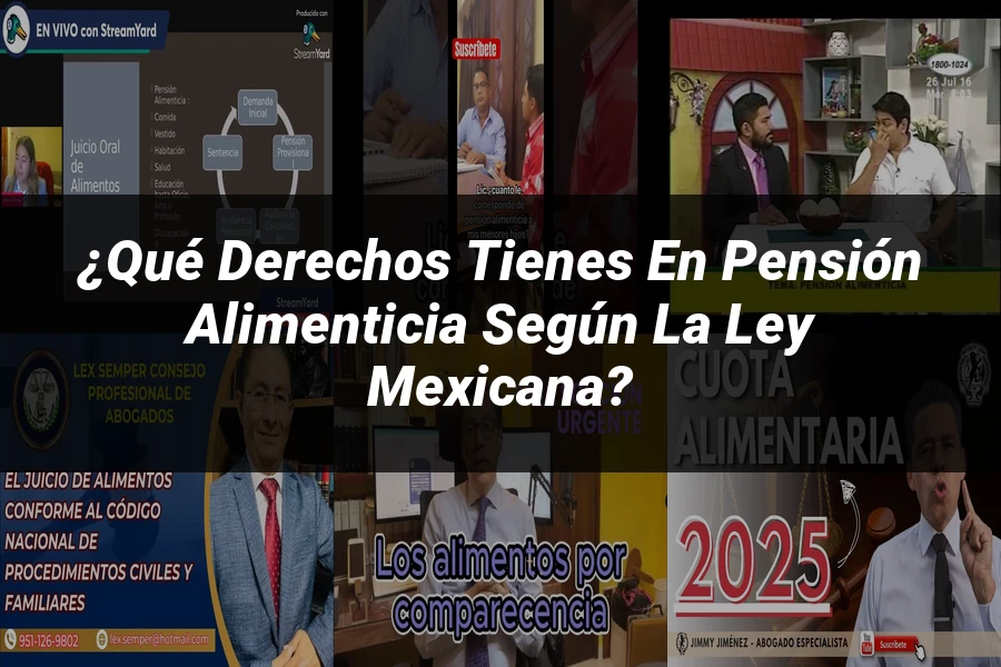 "¿Qué Derechos Tienes en Pensión Alimenticia según la Ley Mexicana?"