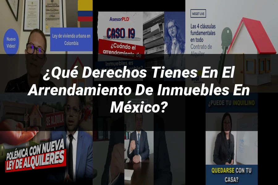 "¿Qué Derechos Tienes en el Arrendamiento de Inmuebles en México?"
