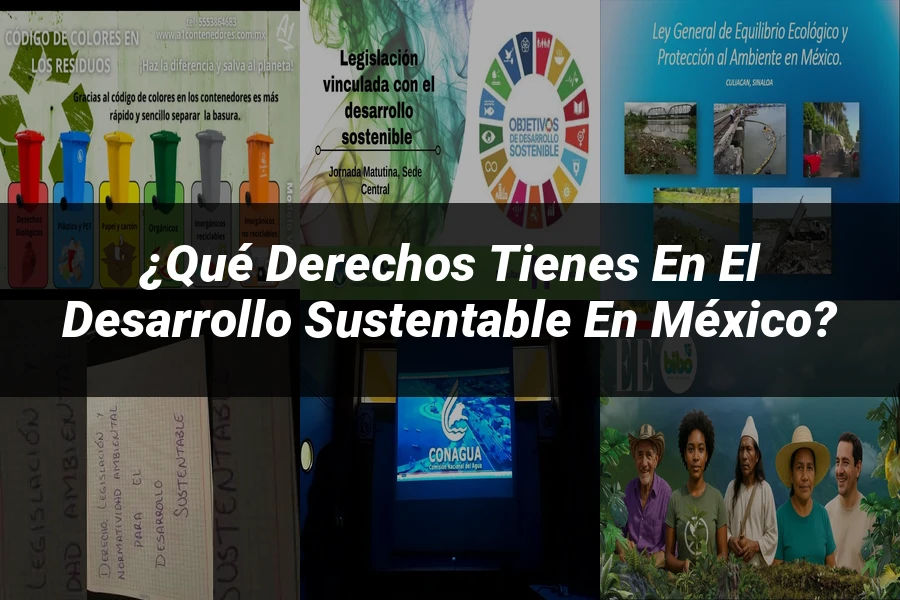 "¿Qué Derechos Tienes en el Desarrollo Sustentable en México?"