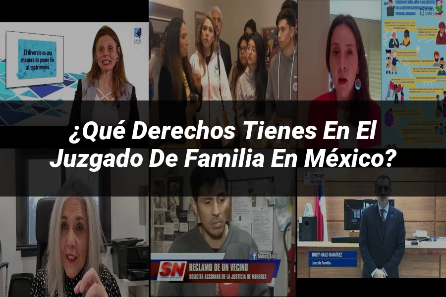 "¿Qué Derechos Tienes en el Juzgado de Familia en México?"