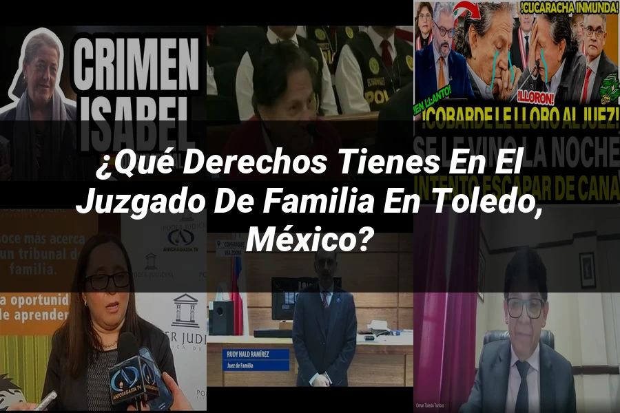 "¿Qué Derechos Tienes en el Juzgado de Familia en Toledo, México?"