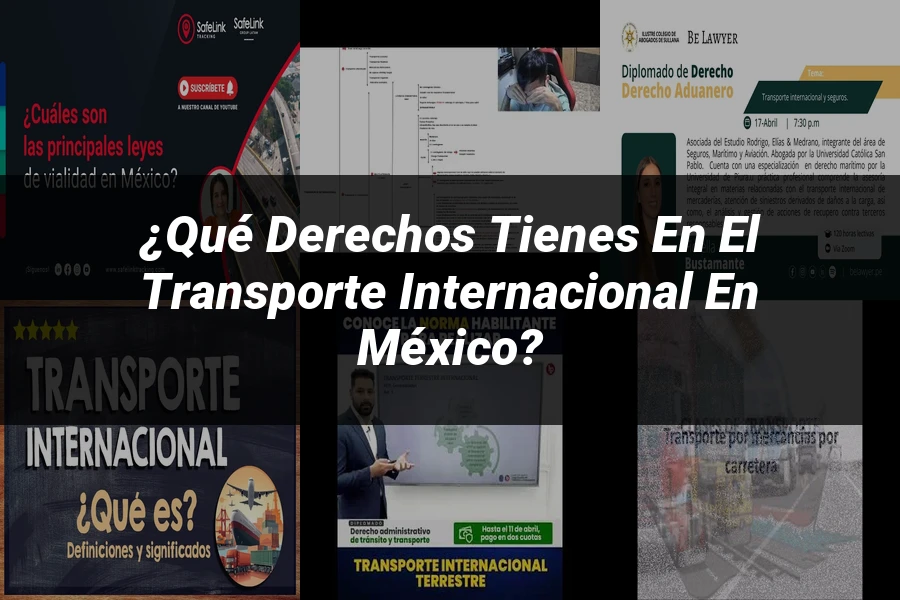 "¿Qué Derechos Tienes en el Transporte Internacional en México?"