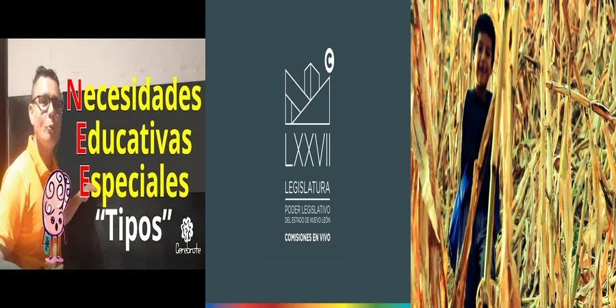 "¿Qué Derechos Tienes en la Ley de Educación Especial en México?"