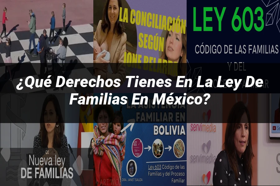 "¿Qué Derechos Tienes en la Ley de Familias en México?"