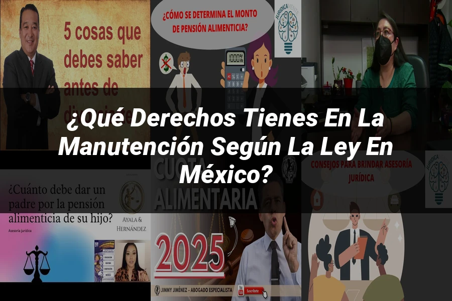 "¿Qué Derechos Tienes en la Manutención según la Ley en México?"