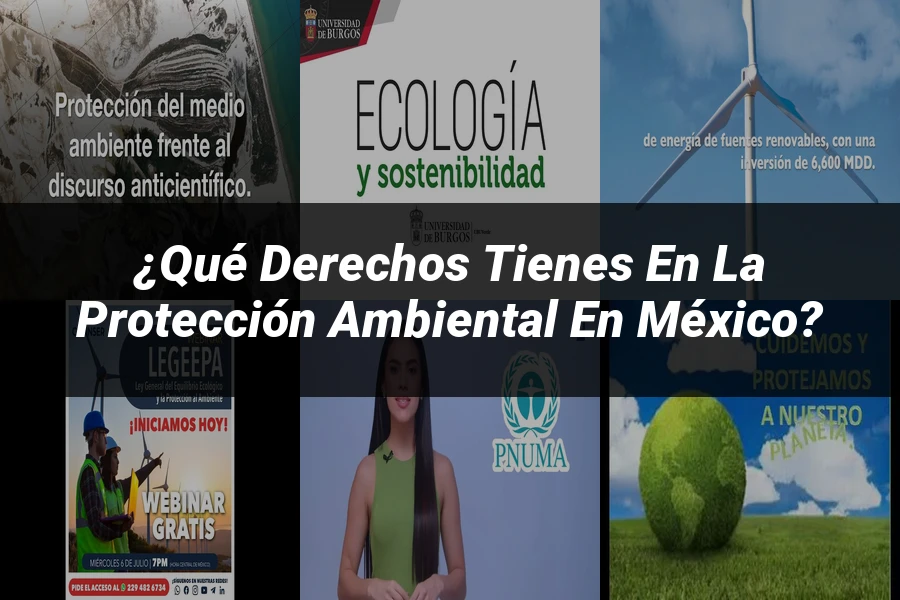 "¿Qué Derechos Tienes en la Protección Ambiental en México?"